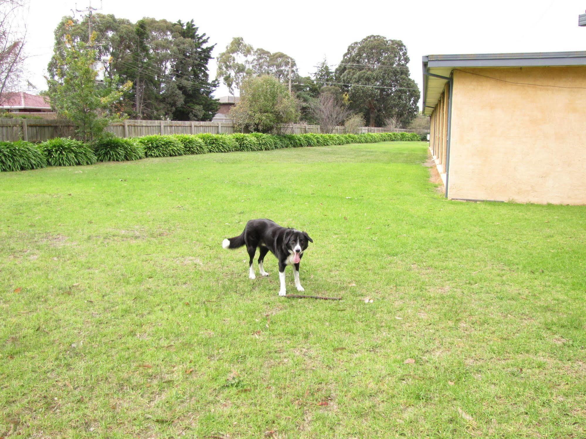 Motel Traralgon Exteriér fotografie